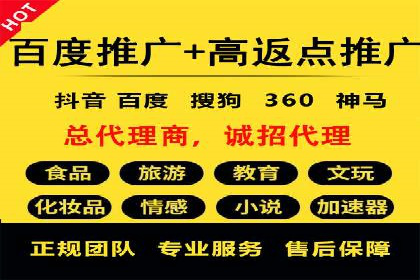 竞价推广成功案例解析